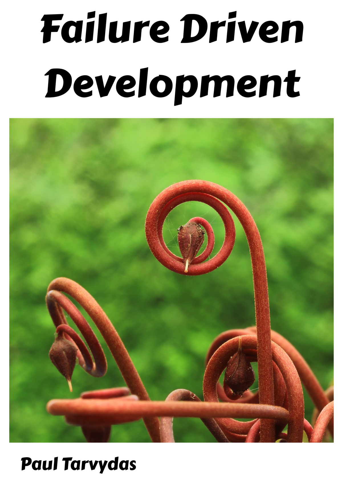 Failure Driven Development